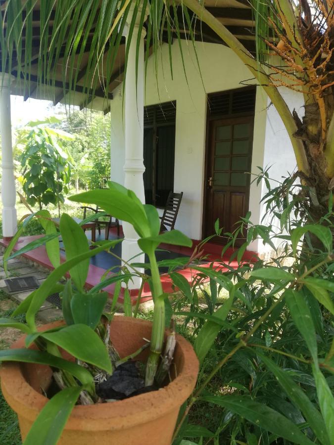 Bay Hill Guest House Tangalle Exterior photo