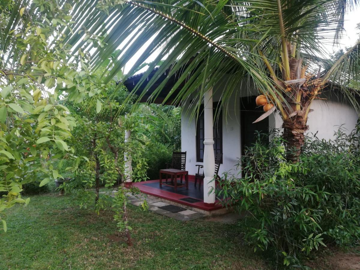 Bay Hill Guest House Tangalle Exterior photo