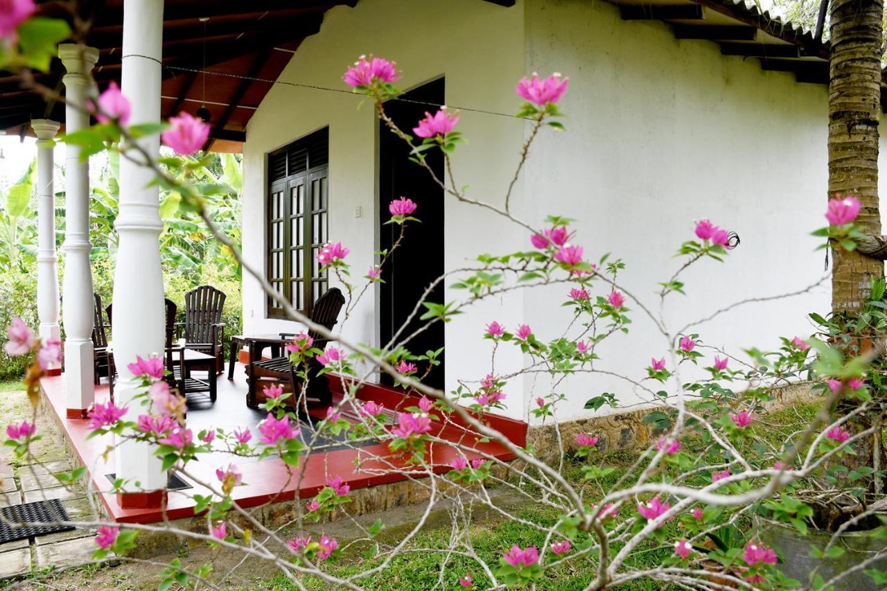 Bay Hill Guest House Tangalle Exterior photo