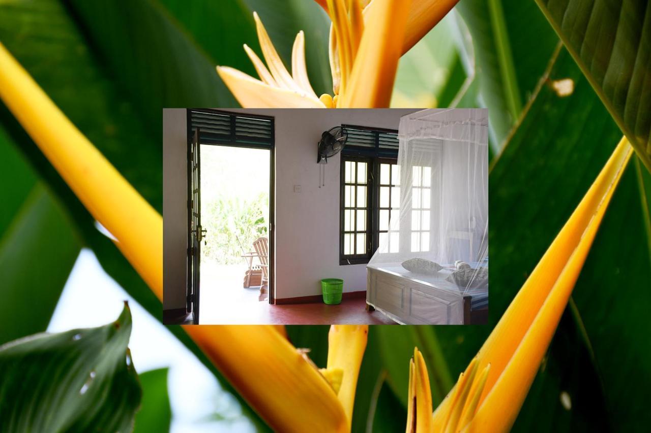 Bay Hill Guest House Tangalle Exterior photo